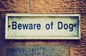 Dog Bite Liability Insurance