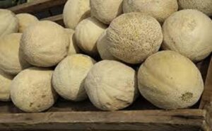 melons with listeria